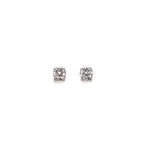Earrings ES002