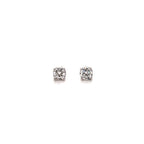 Earrings ES002
