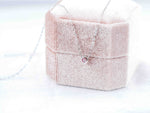 Necklaces FDN2117