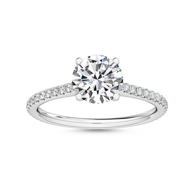 Diamond Ring Nemophila SJR55563
