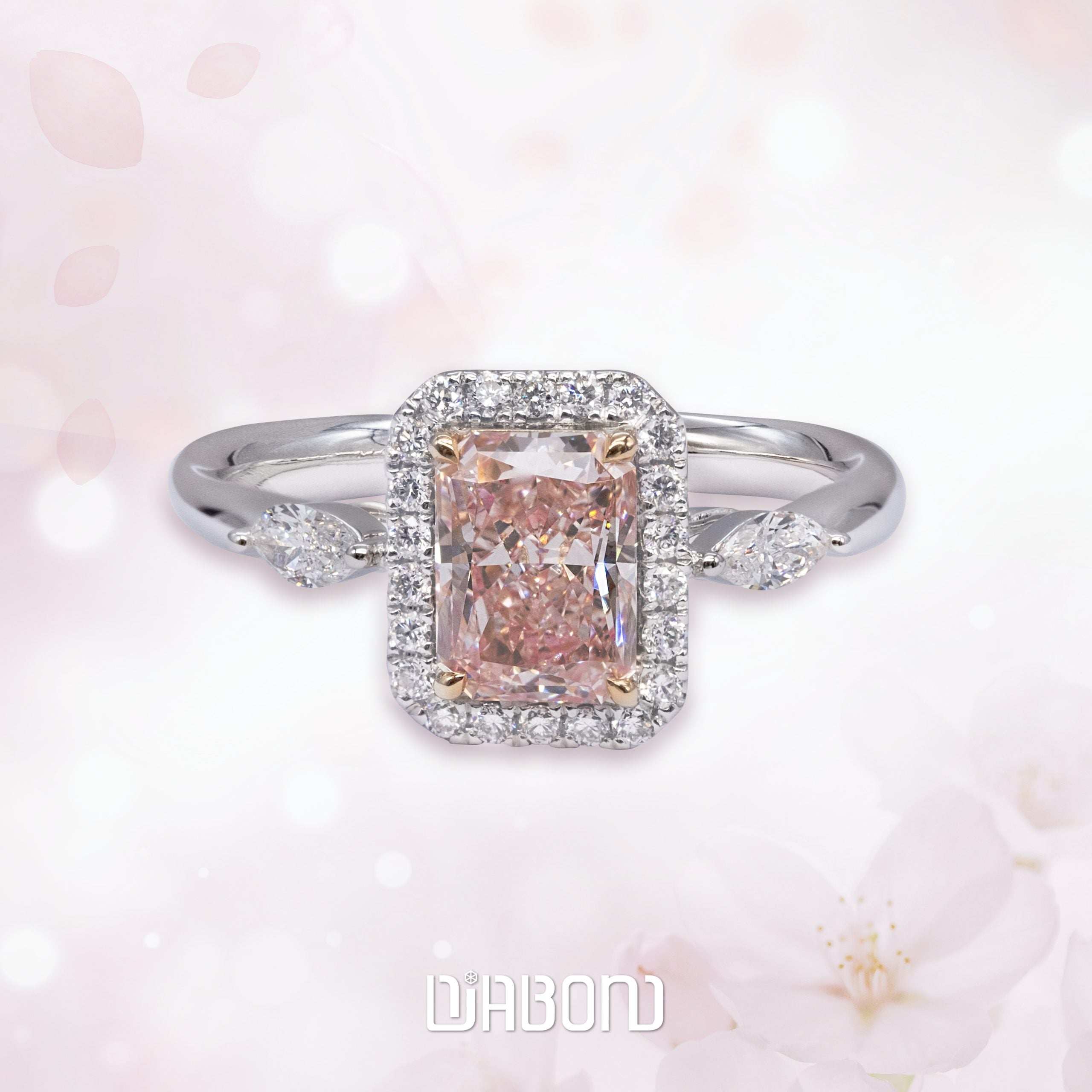 Rings Z001F09