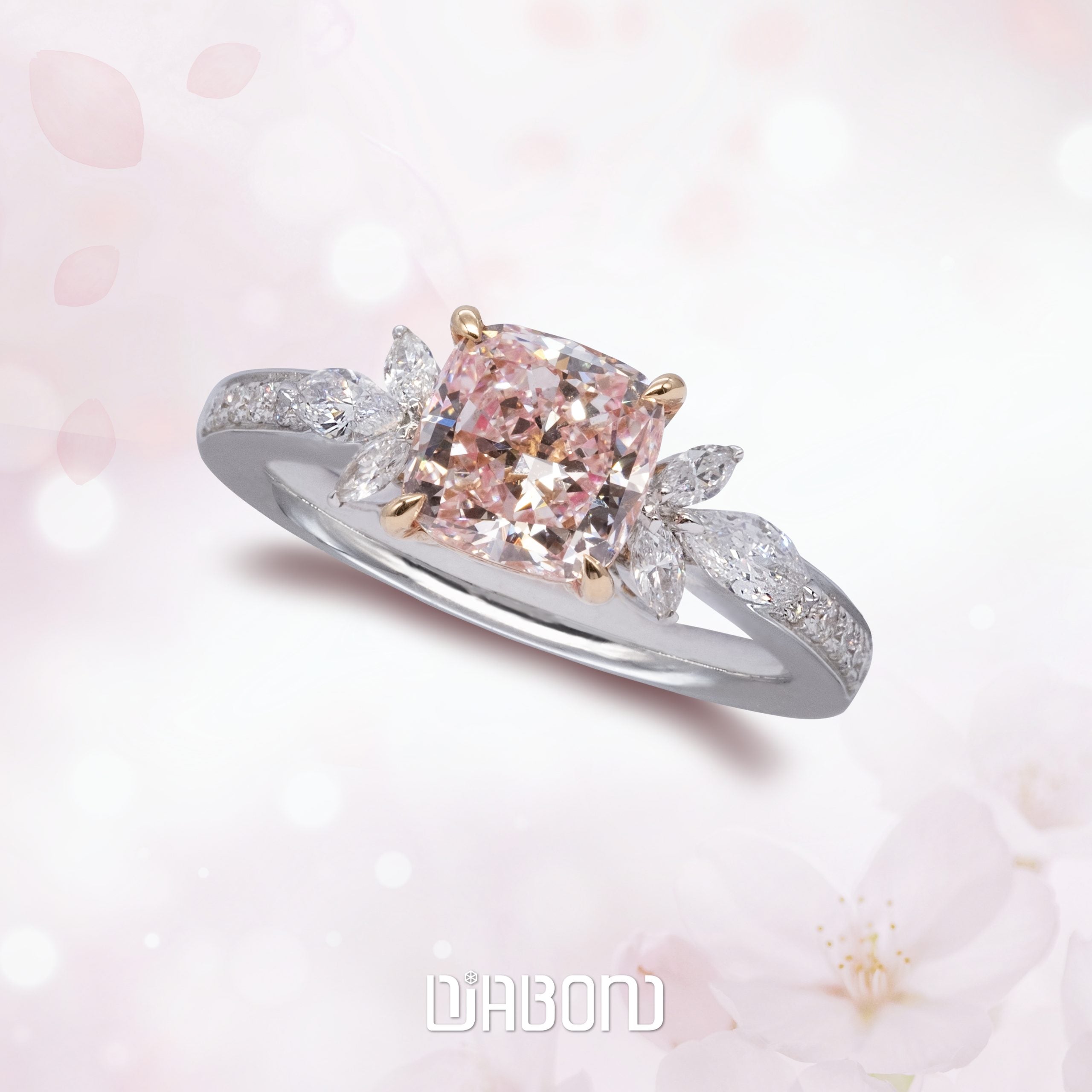 Rings Z001F13