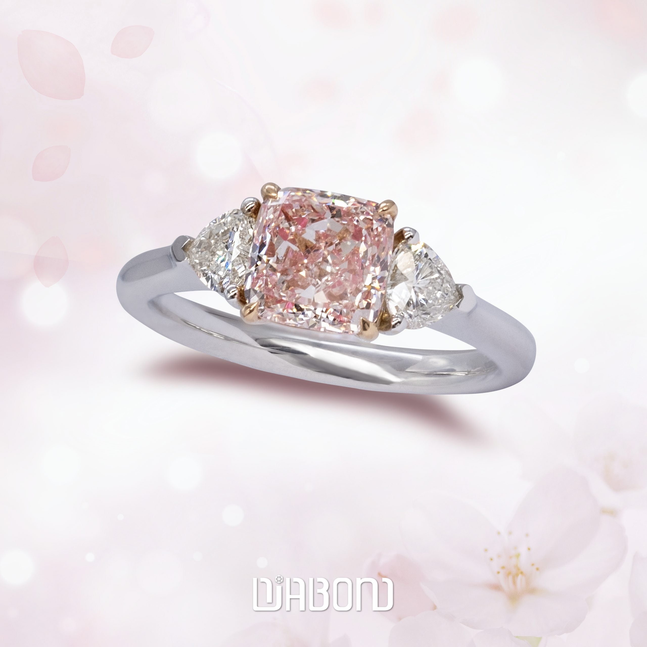 Rings Z001F15