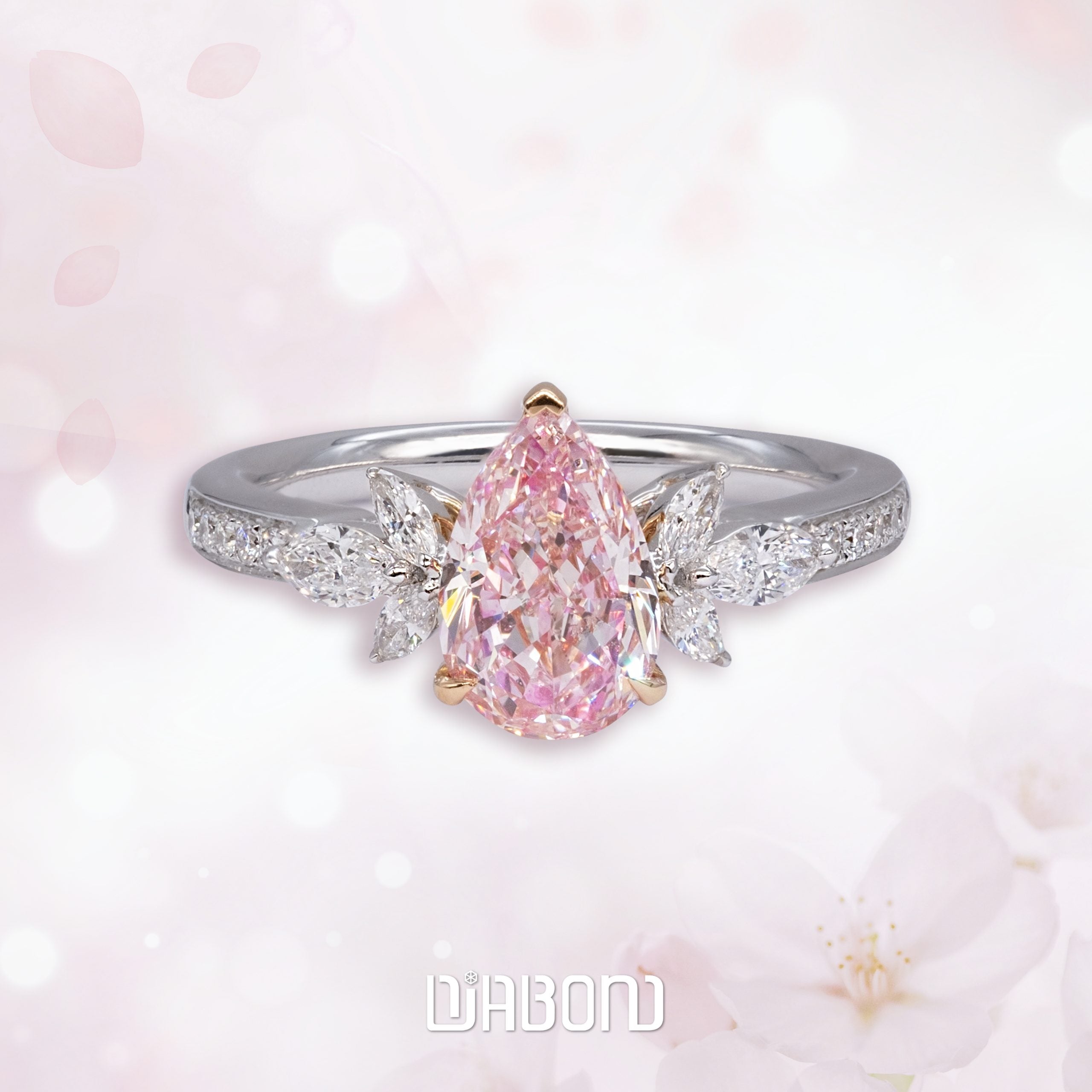 Rings Z001F31